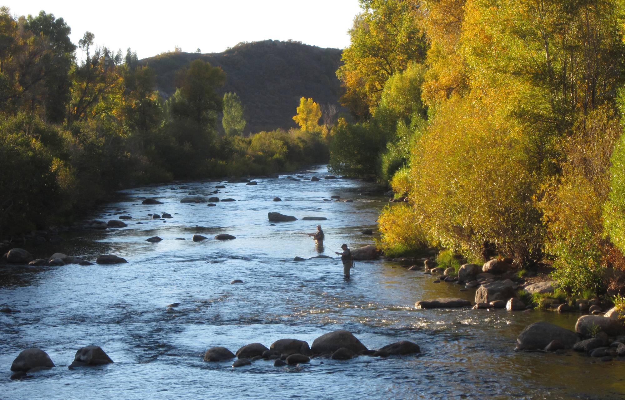 Trout Fishing Wallpapers Wallpaper Cave