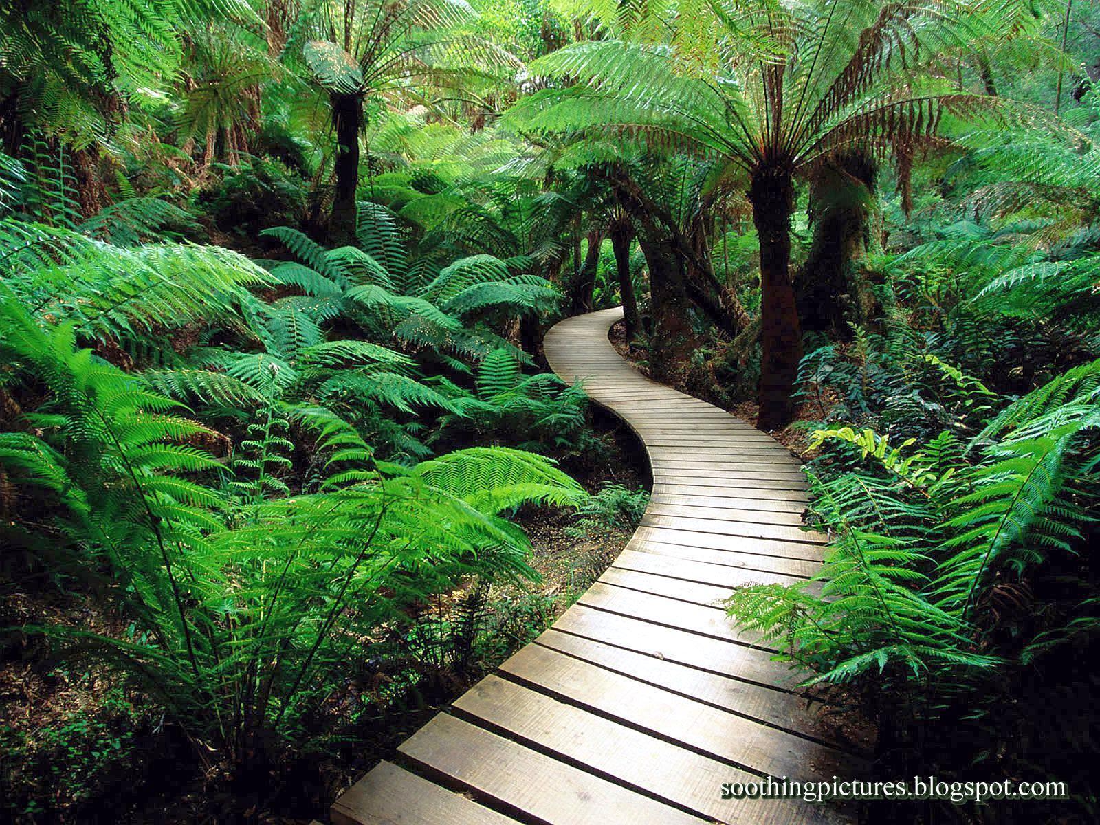 Calming Backgrounds Wallpaper Cave