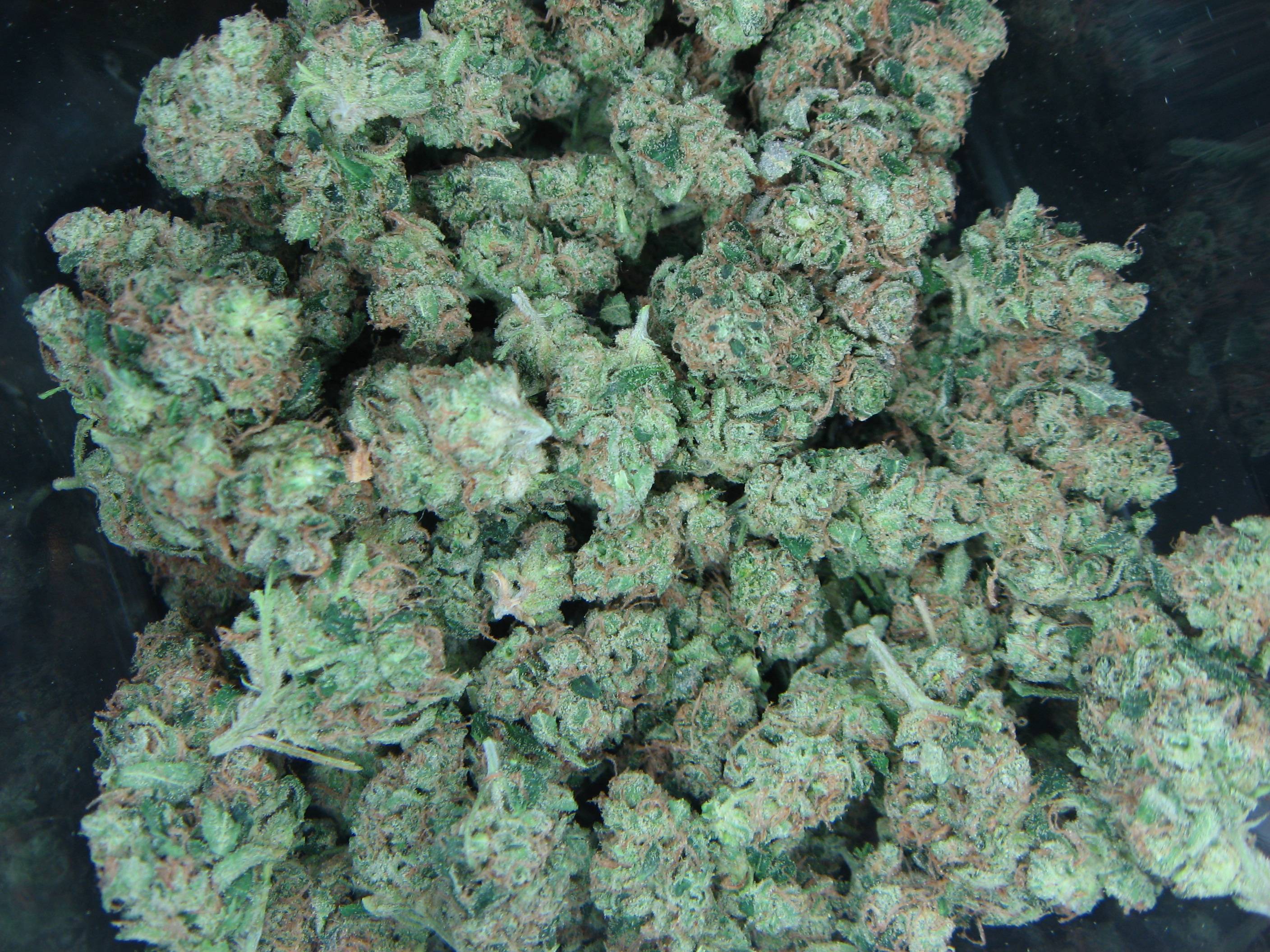 Kush Wallpapers Wallpaper Cave