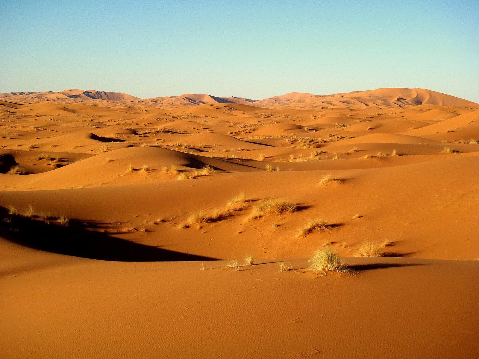 Desert Backgrounds Pictures Wallpaper Cave