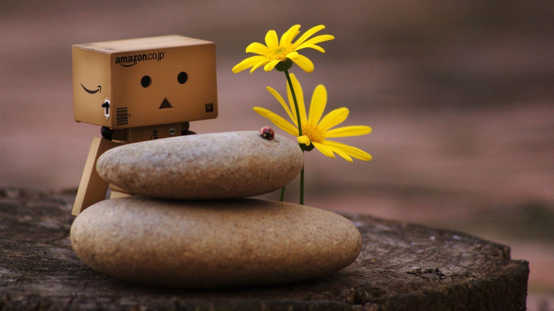 Danbo Wallpapers Wallpaper Cave