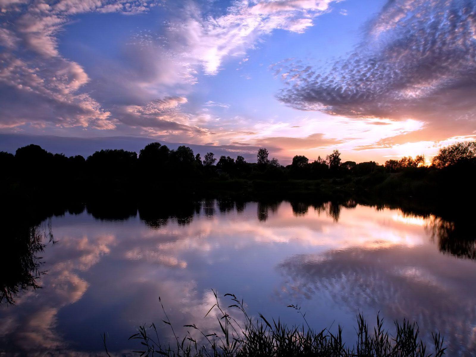 Desktop Backgrounds Free Wallpaper Cave