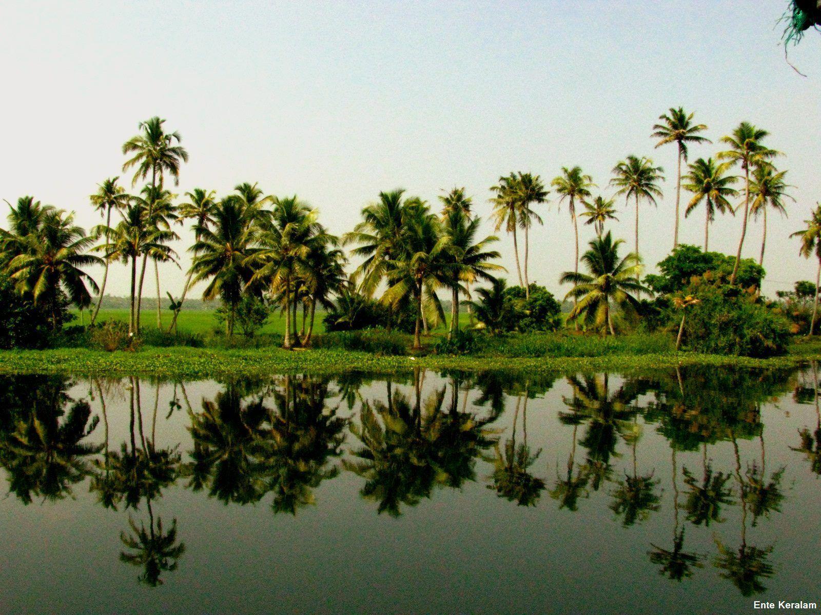 Kerala Nature Hd Wallpapers - Wallpaper Cave