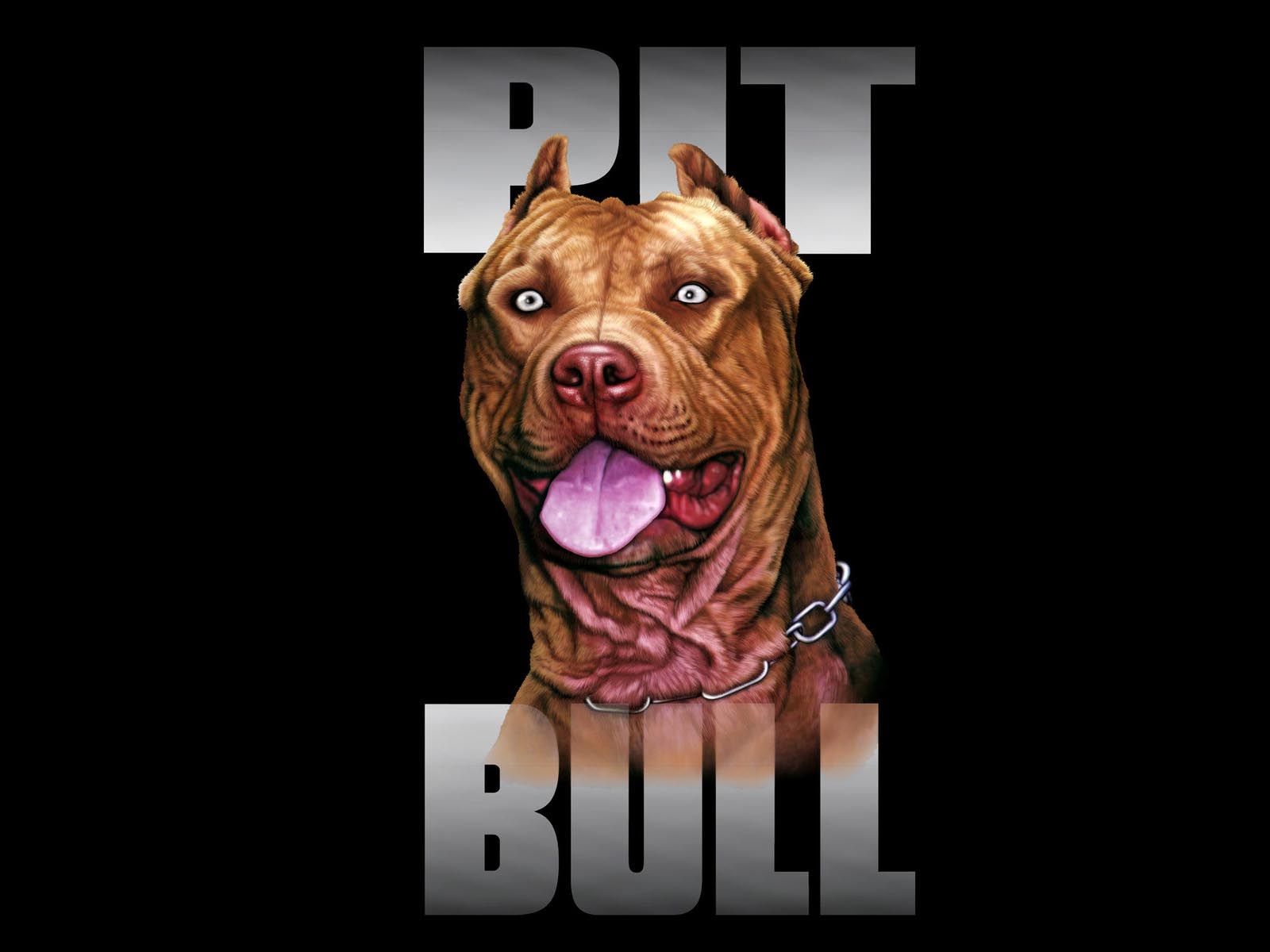 Pitbull Terrier Wallpapers Wallpaper Cave