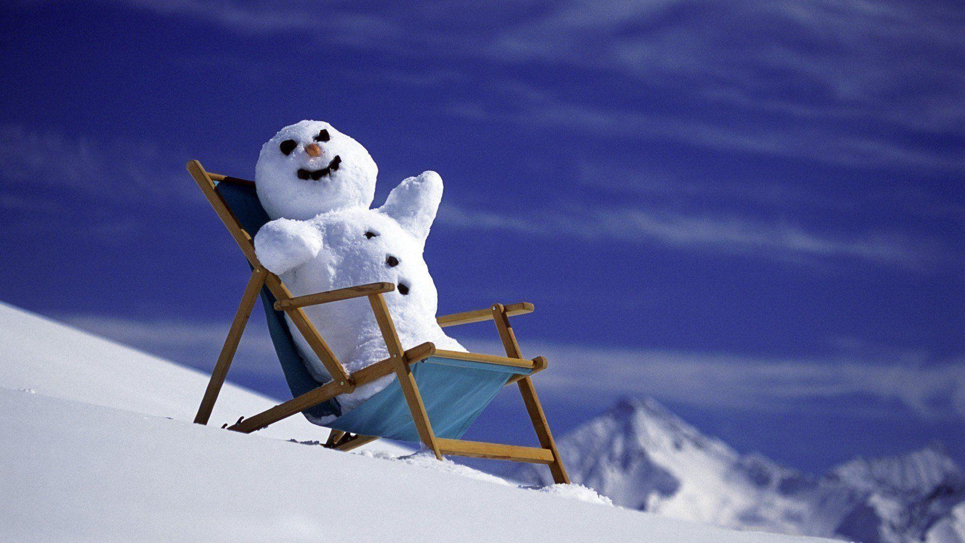 Funny Winter Wallpapers Wallpaper Cave
