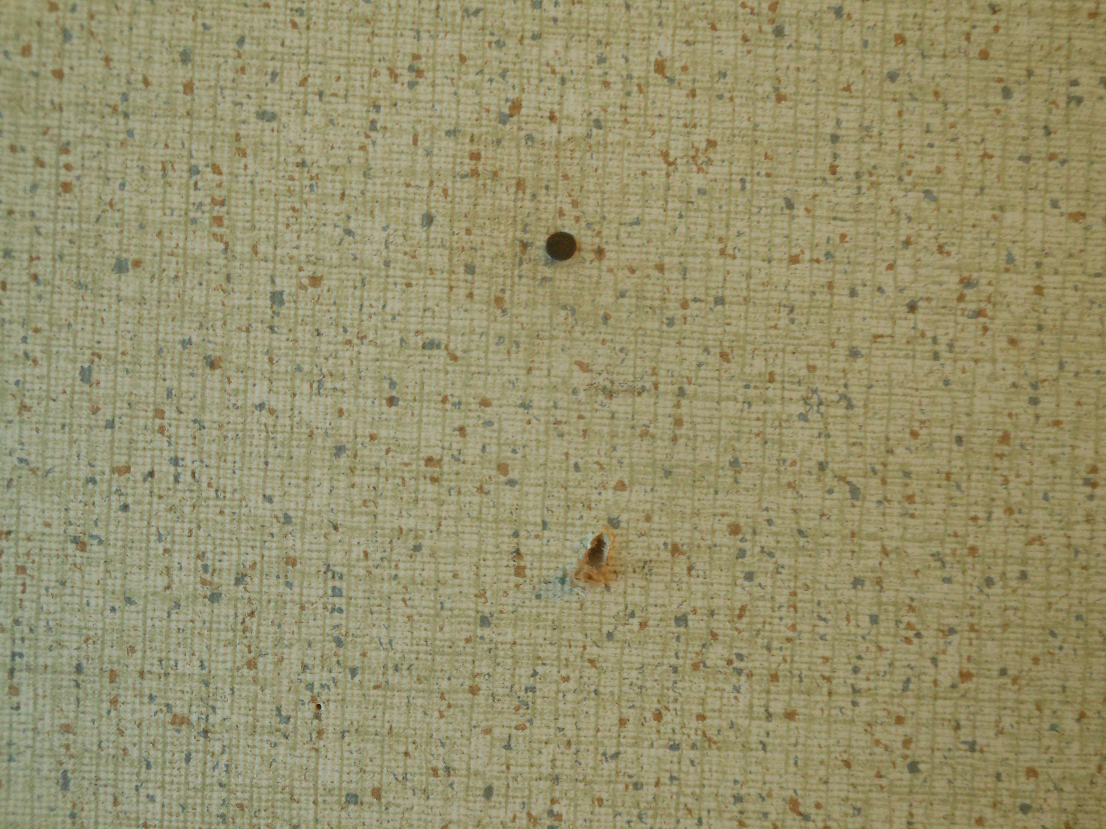 Ugly Wallpapers Wallpaper Cave