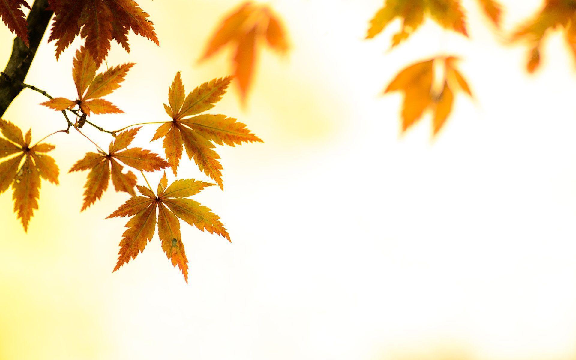 Artsy Desktop Backgrounds Wallpaper Cave