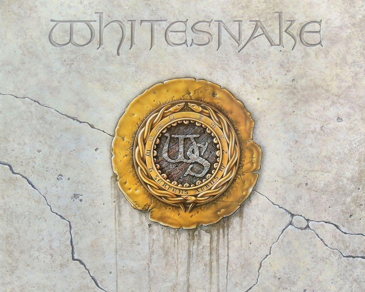 Whitesnake Wallpapers Wallpaper Cave