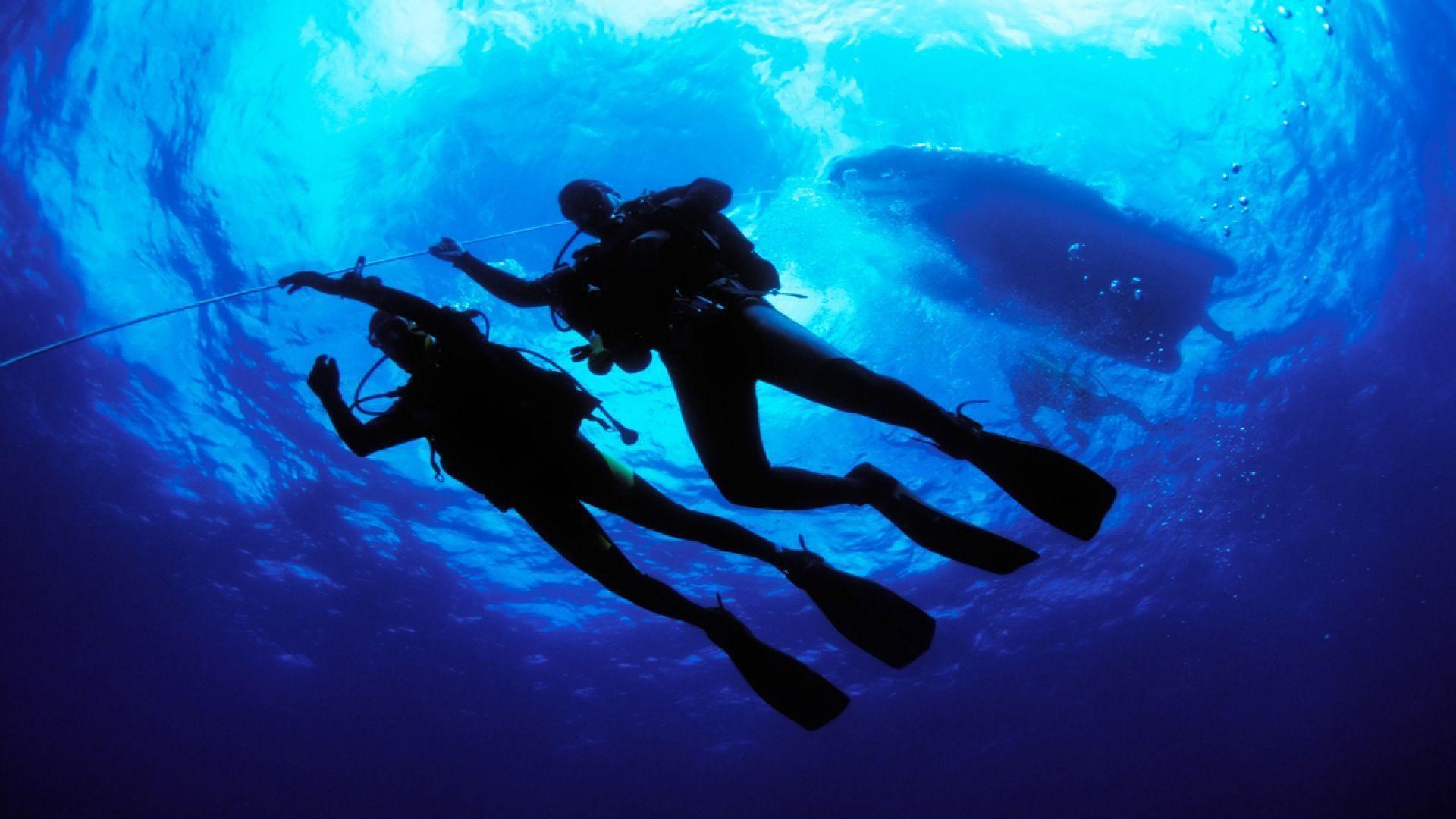 Free Scuba Diving Wallpapers Wallpaper Cave