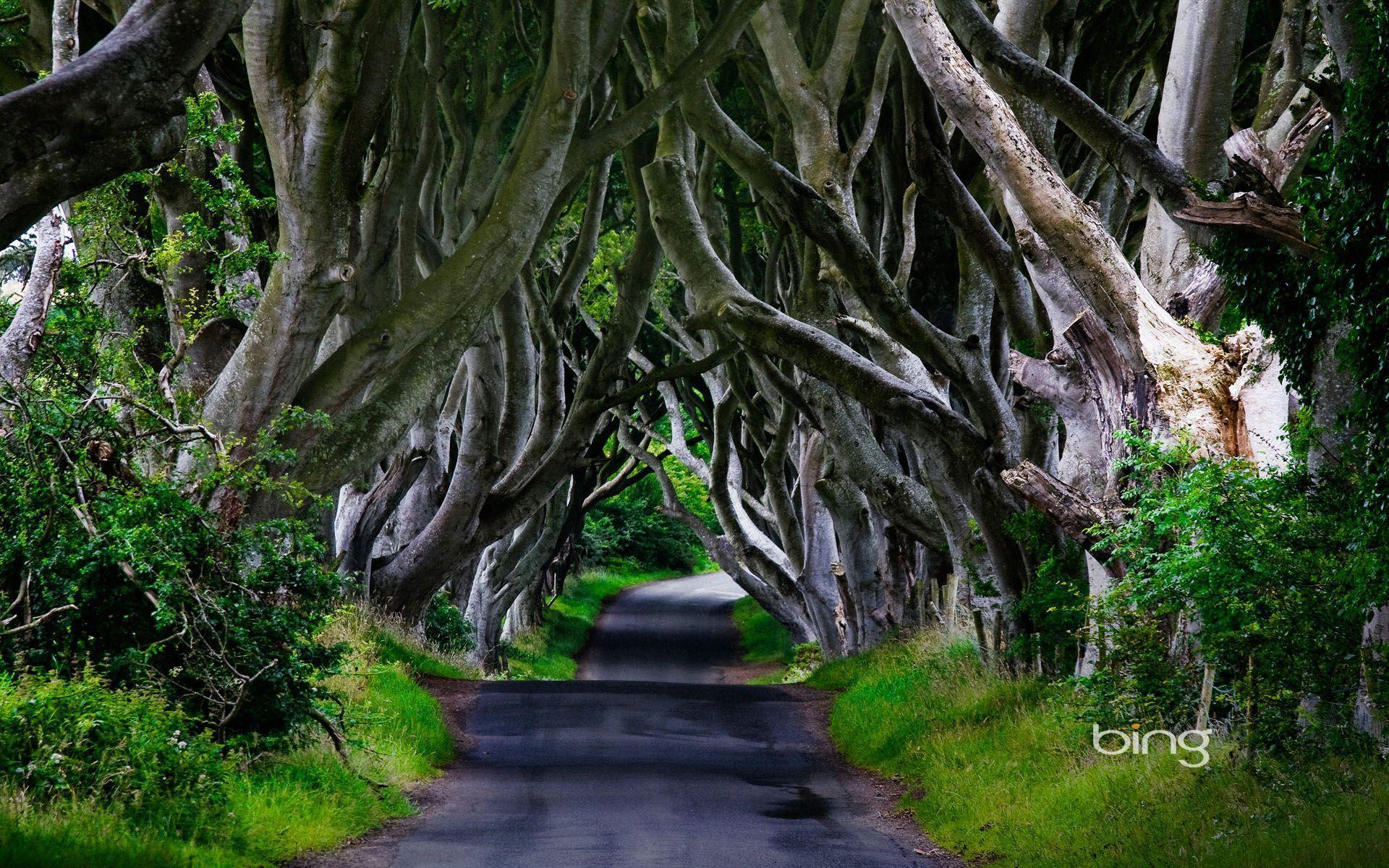 Ireland Backgrounds Wallpaper Cave