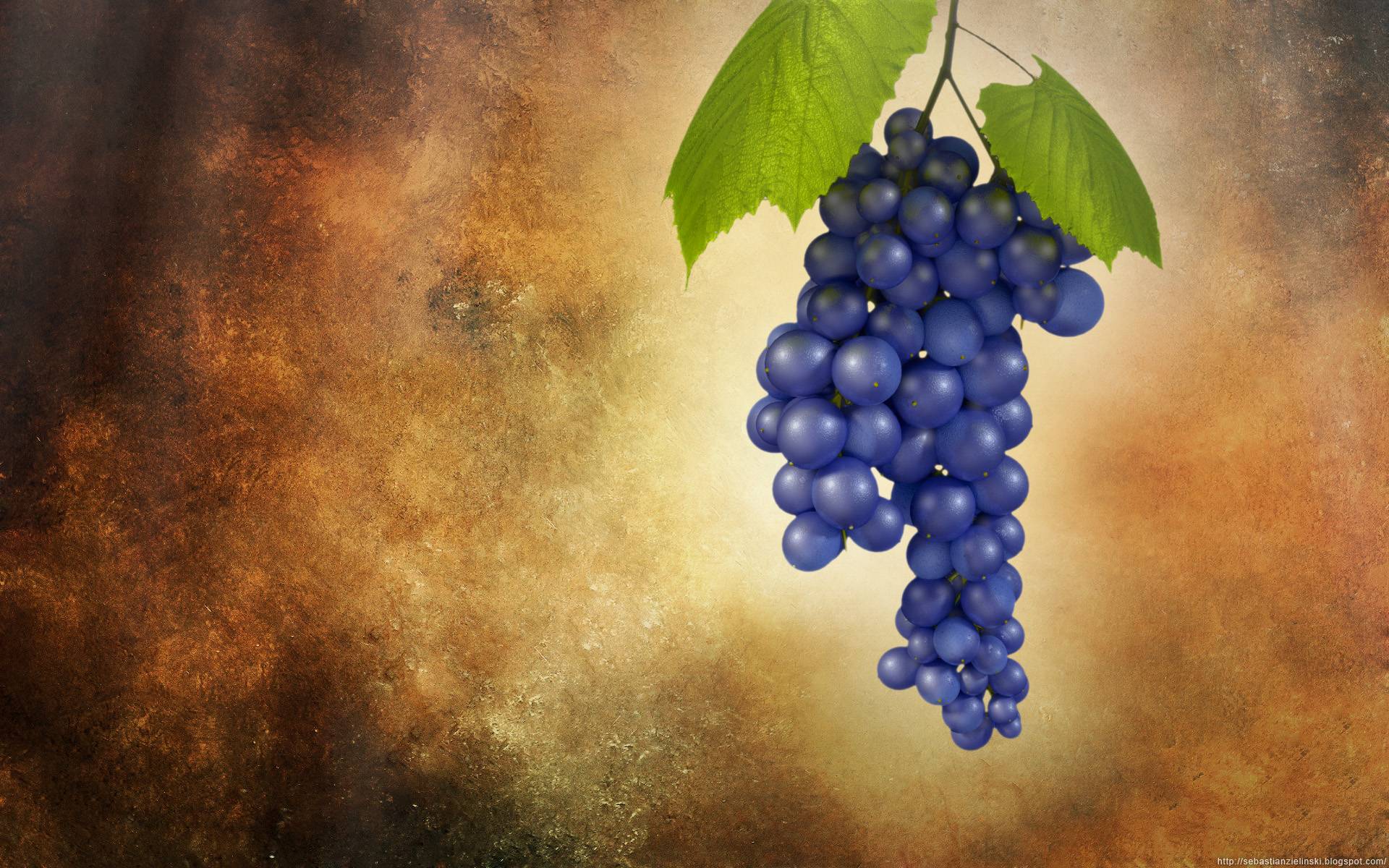 Grapes Wallpapers Wallpaper Cave
