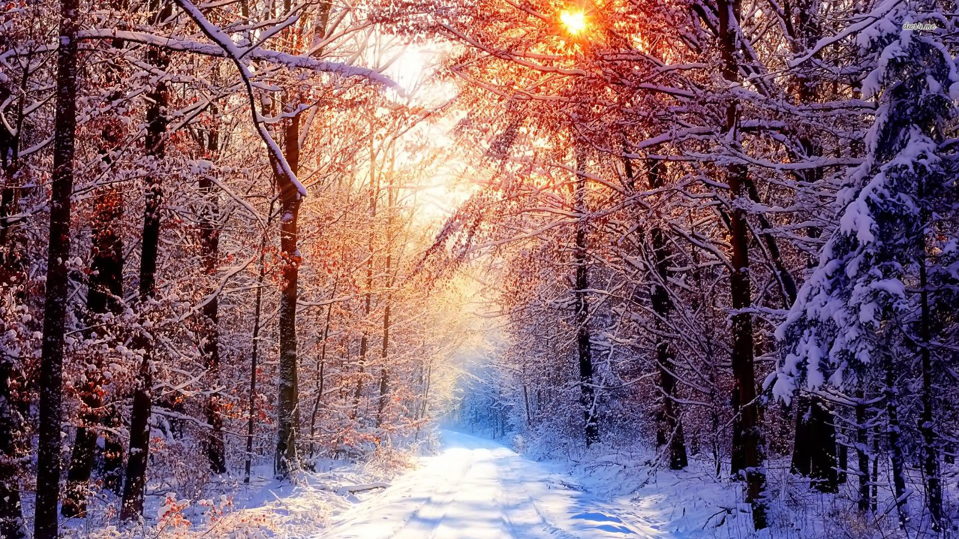 Winter Landscape Wallpapers Wallpaper Cave