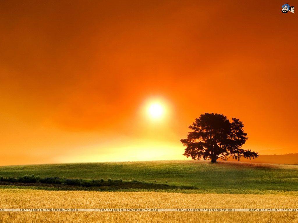 Sun Set Wallpapers Wallpaper Cave