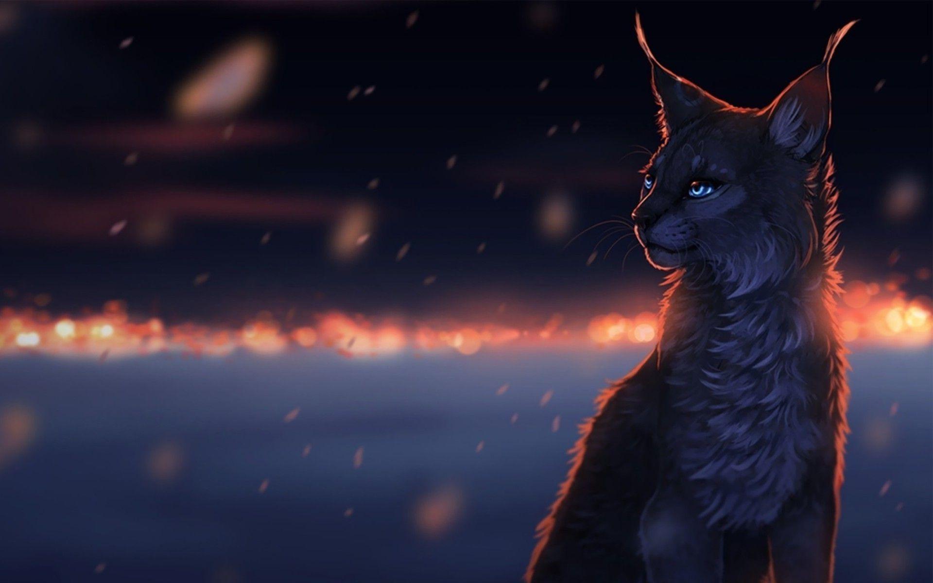 Lynx Wallpapers Wallpaper Cave