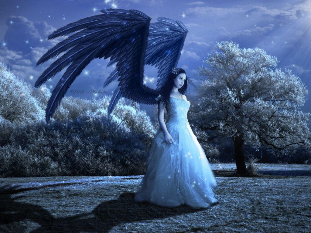 Angel Wallpapers Wallpaper Cave