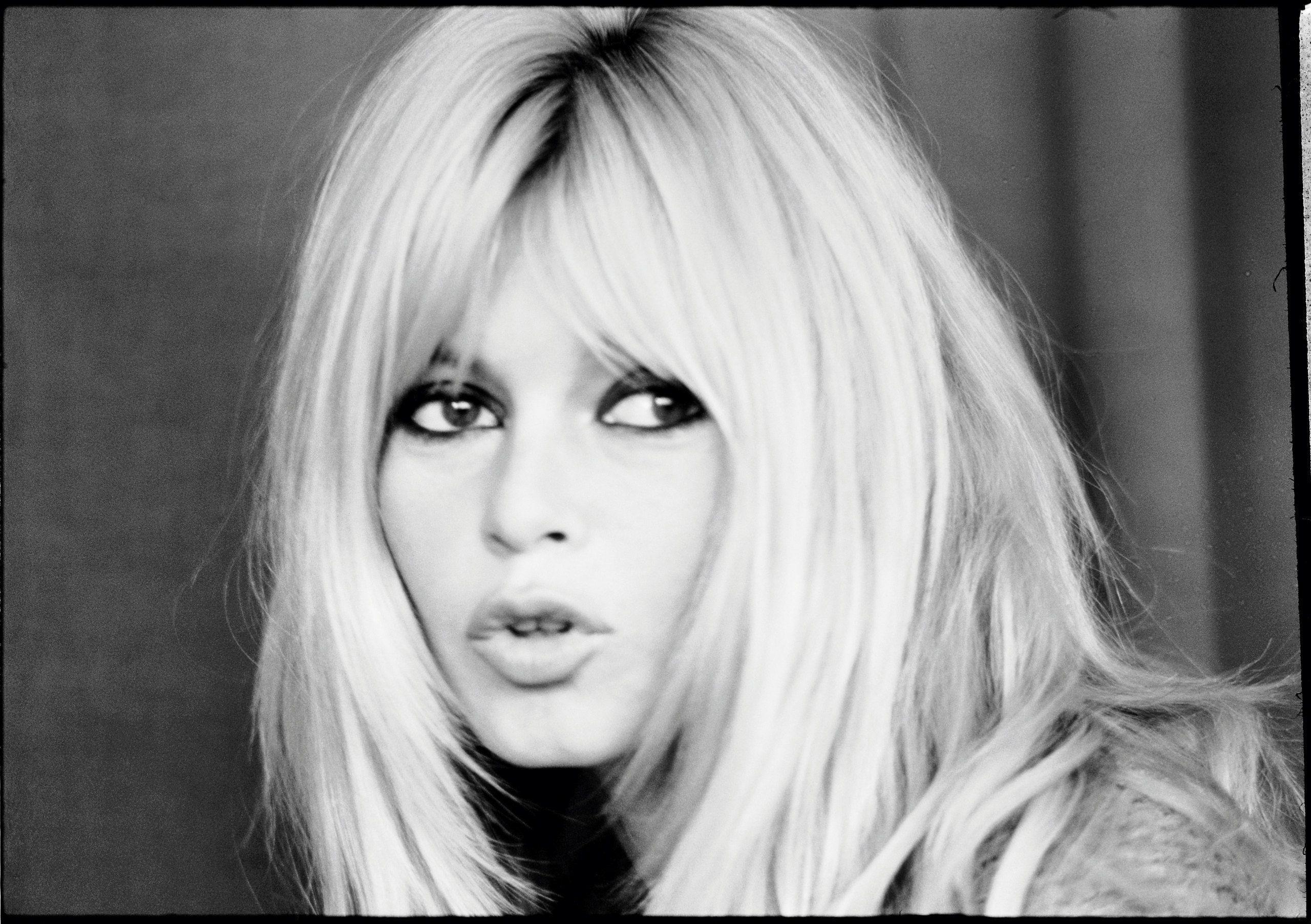 Brigitte Bardot Wallpapers Wallpaper Cave