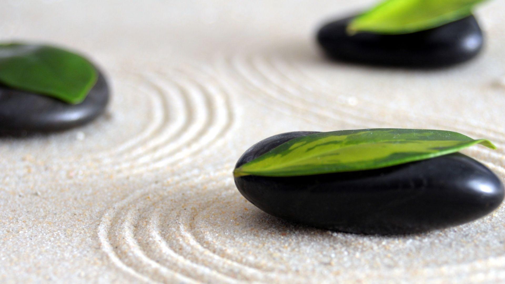 Zen Garden Wallpapers Wallpaper Cave