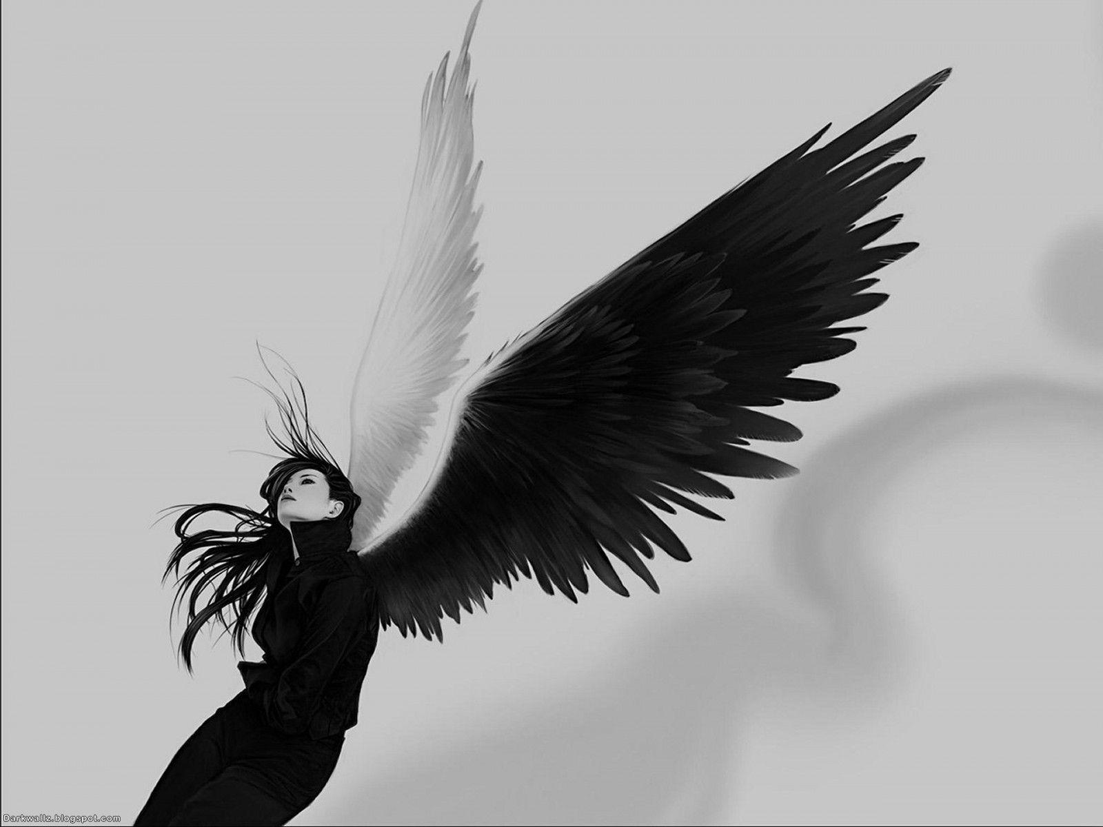 Dark Angel Wallpapers Wallpaper Cave