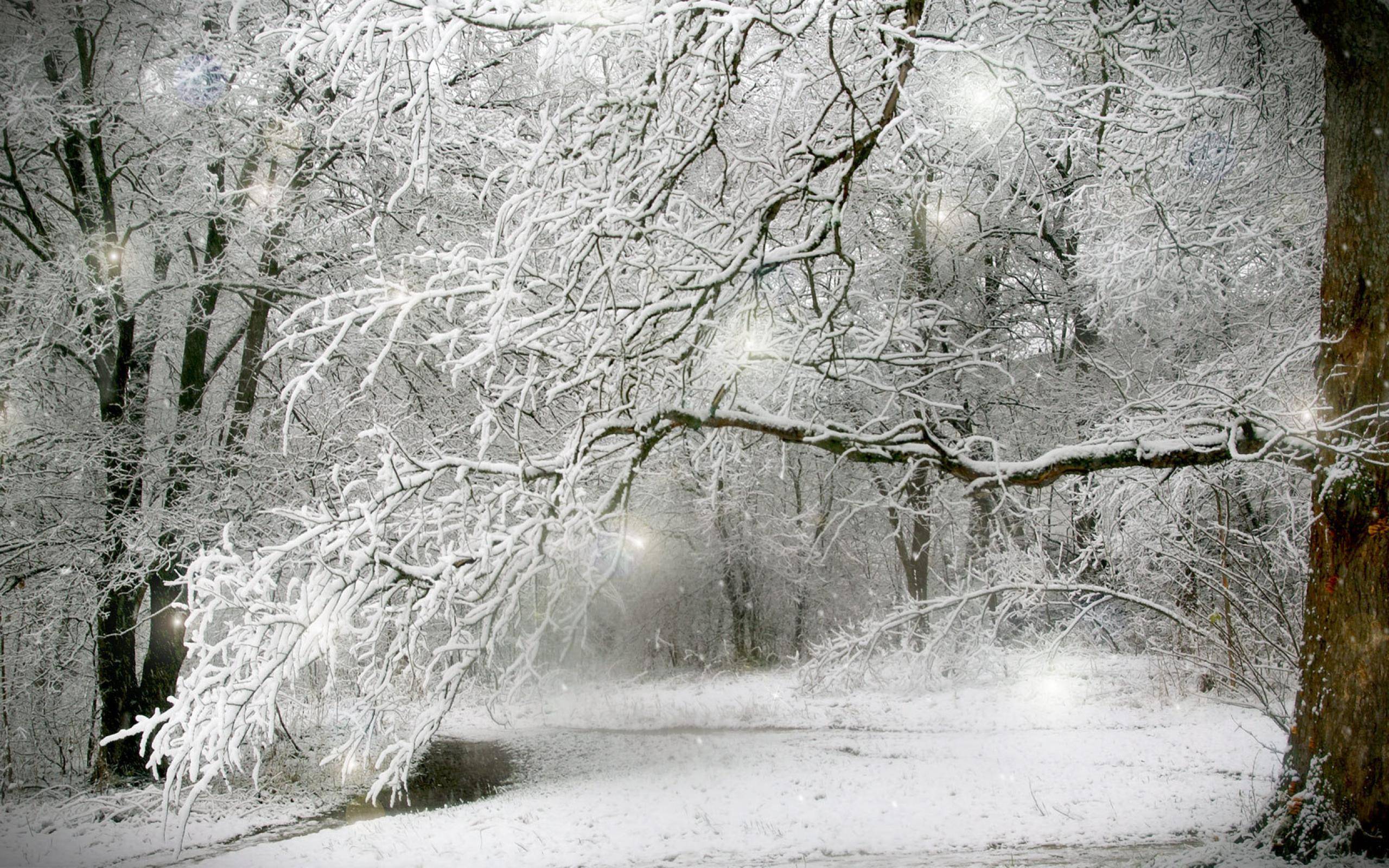 Winter Snow Backgrounds Wallpaper Cave