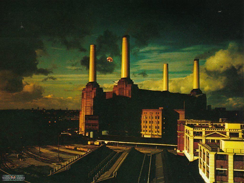 Pink Floyd Animals Wallpapers Wallpaper Cave