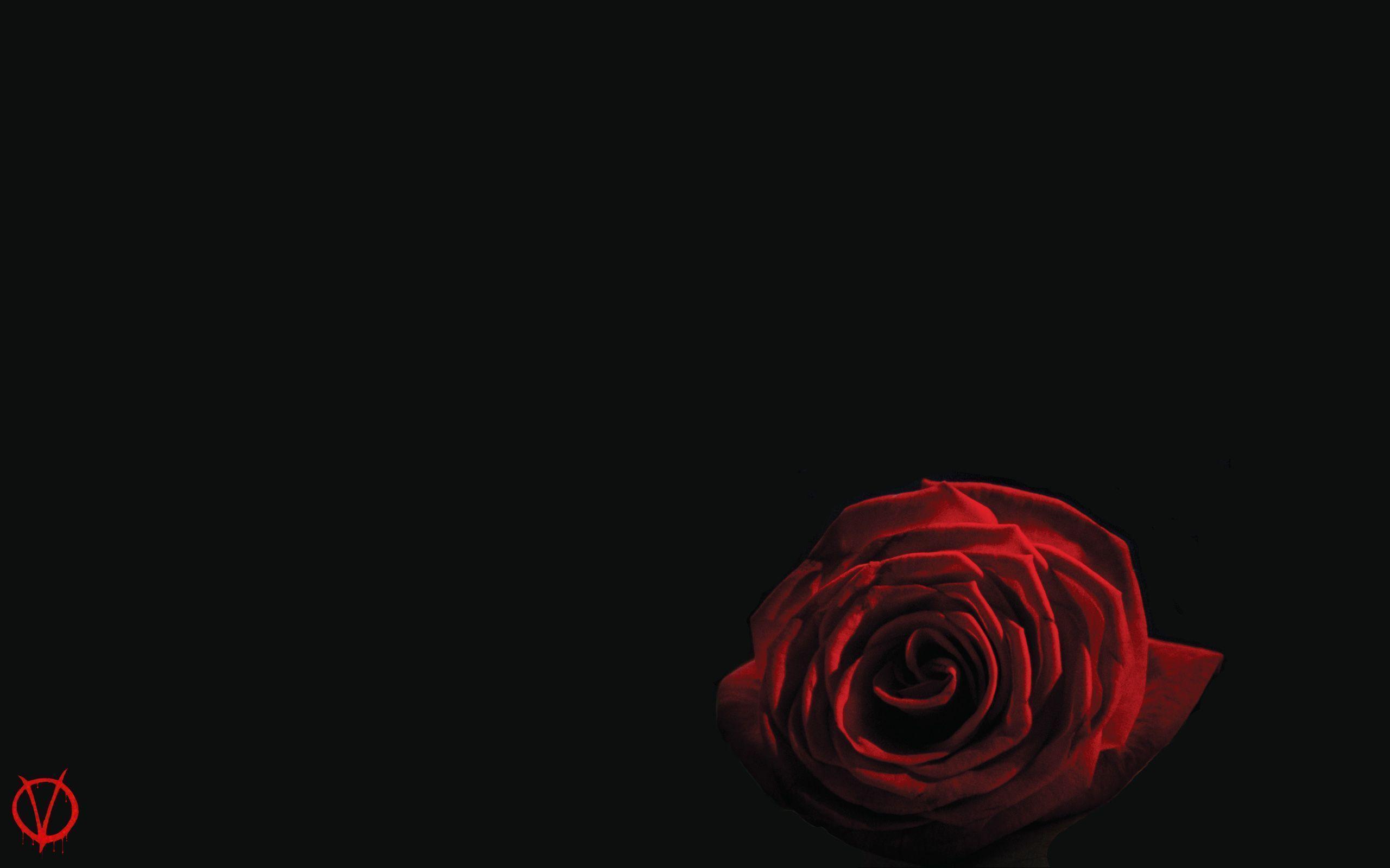 V For Vendetta Wallpapers Wallpaper Cave