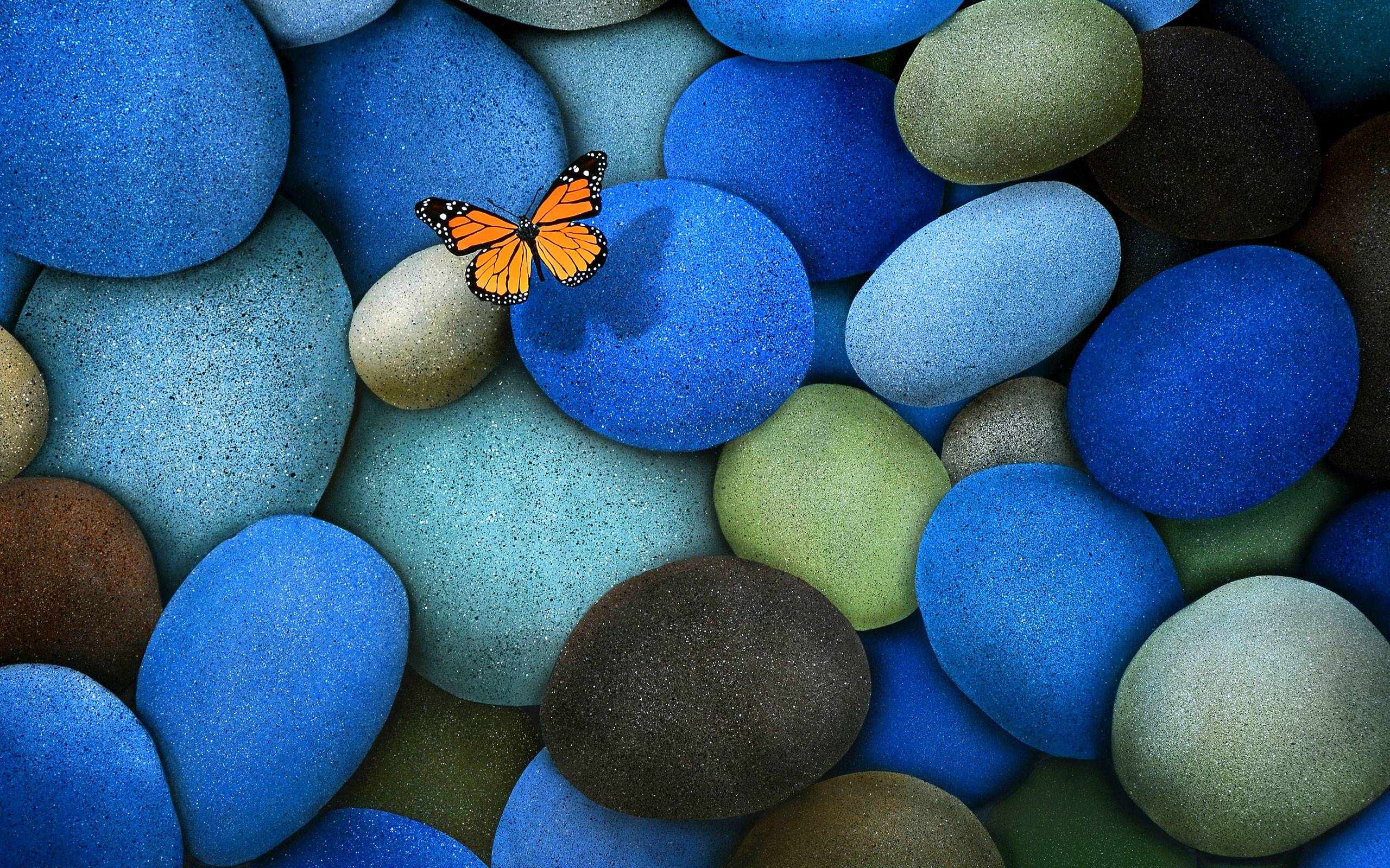 Blue Butterfly Wallpapers Wallpaper Cave