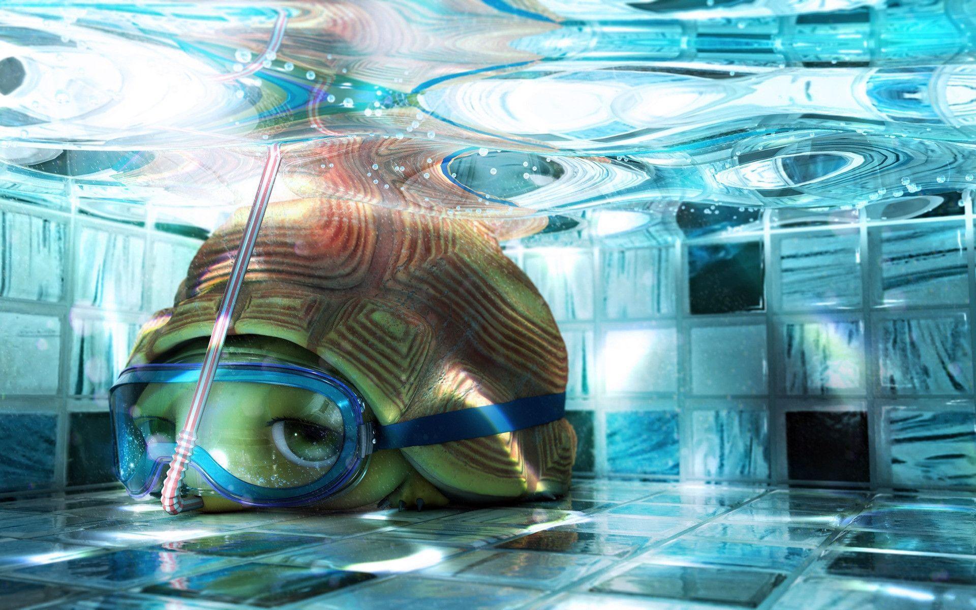 Cute Turtle Wallpapers Wallpaper Cave