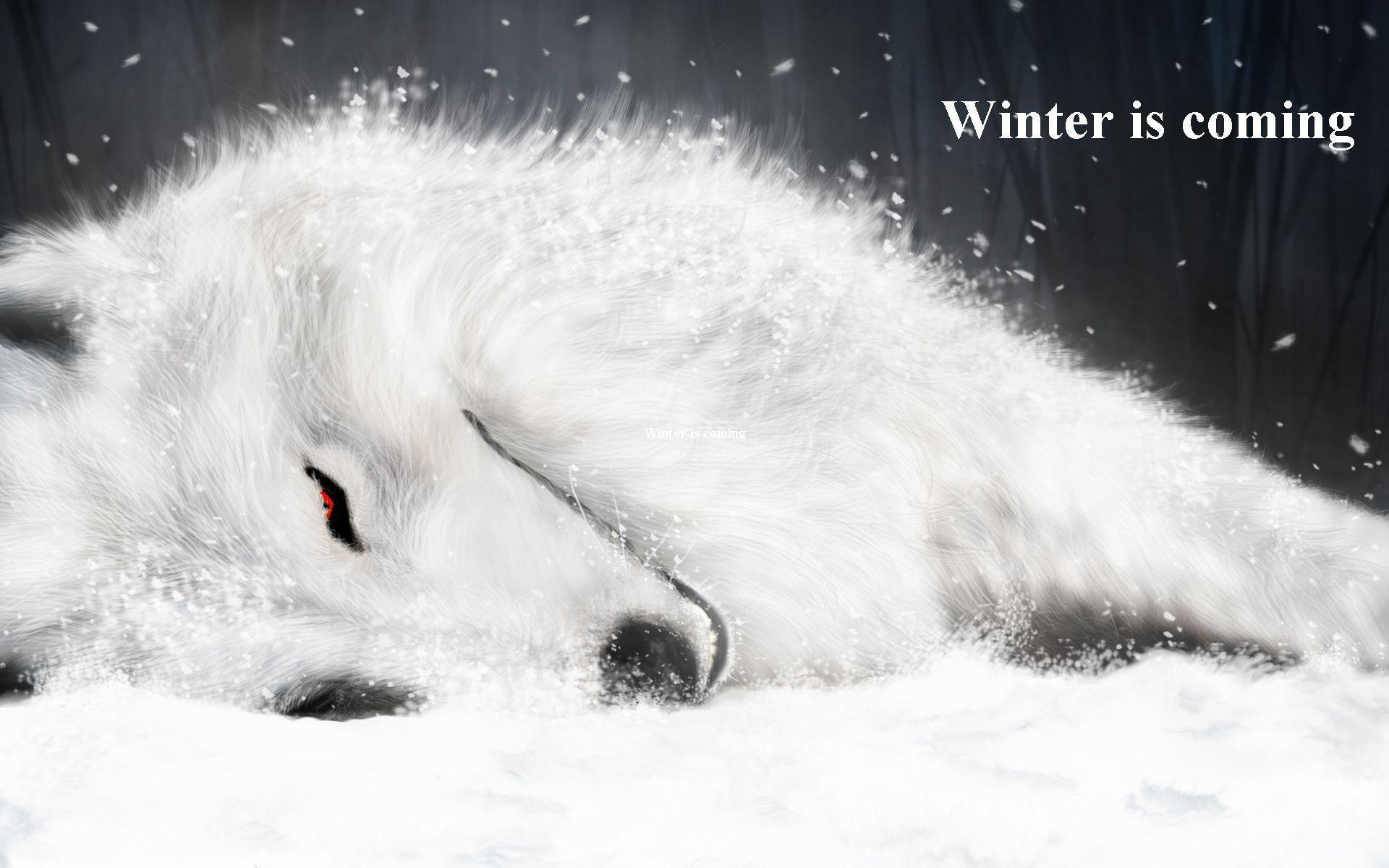 Winter Is Coming Wallpapers Wallpaper Cave