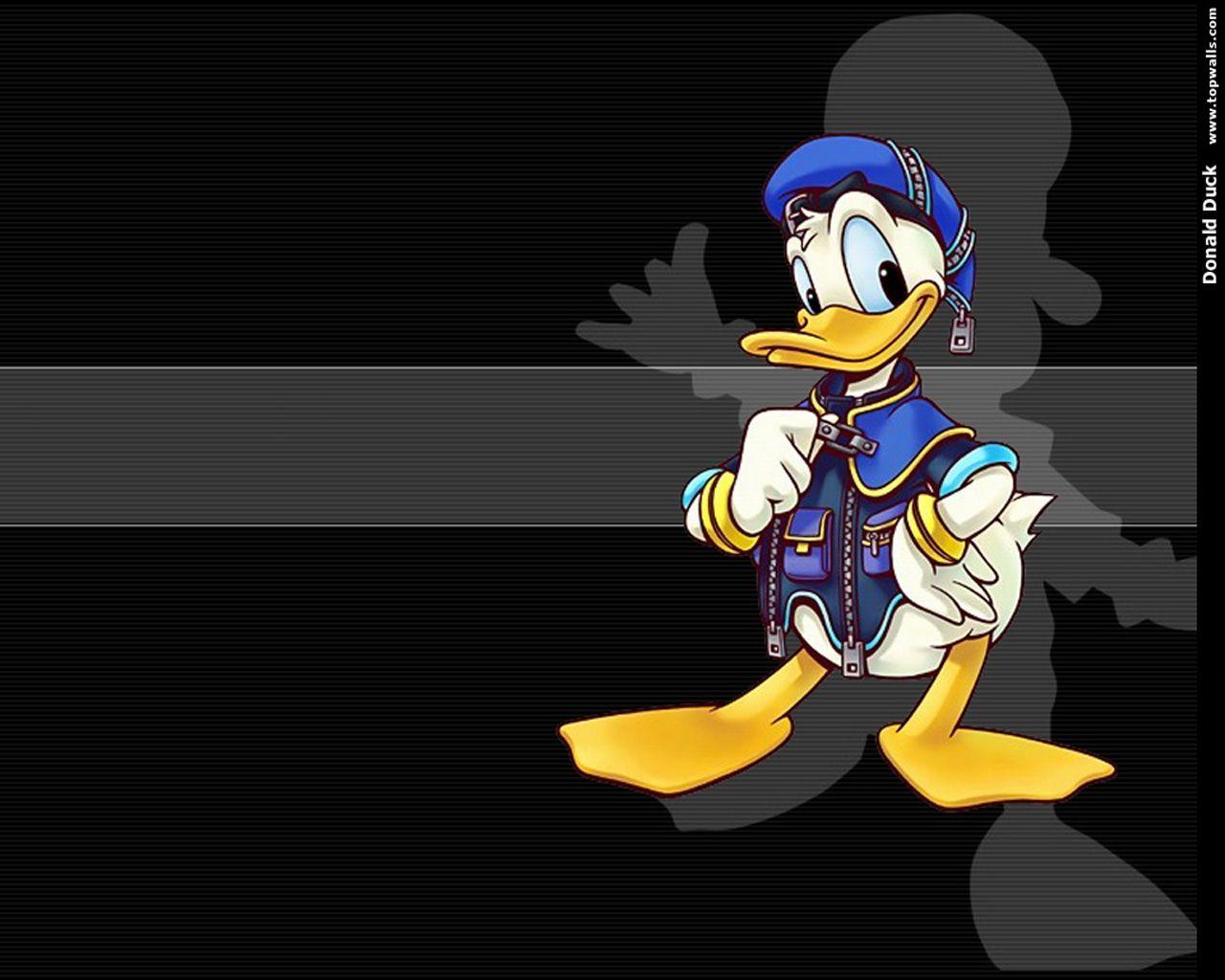 Donald Duck Wallpapers Wallpaper Cave