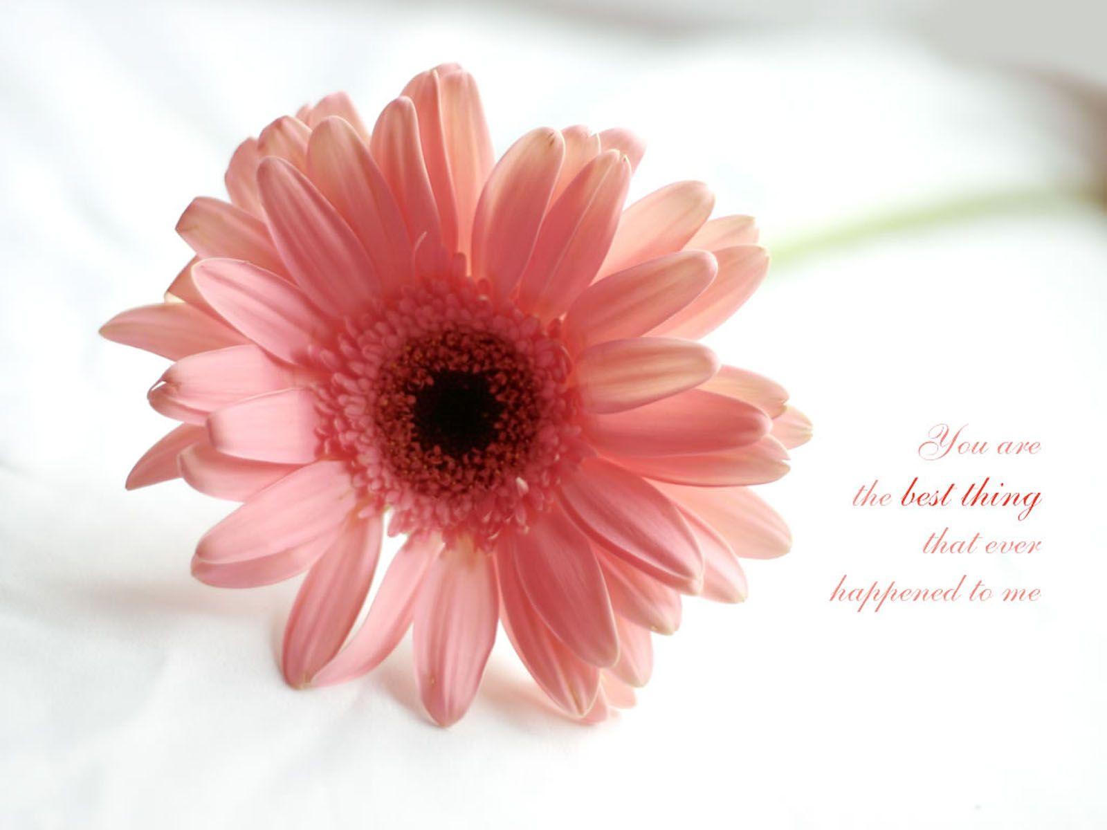 Emotional Wallpapers Wallpaper Cave