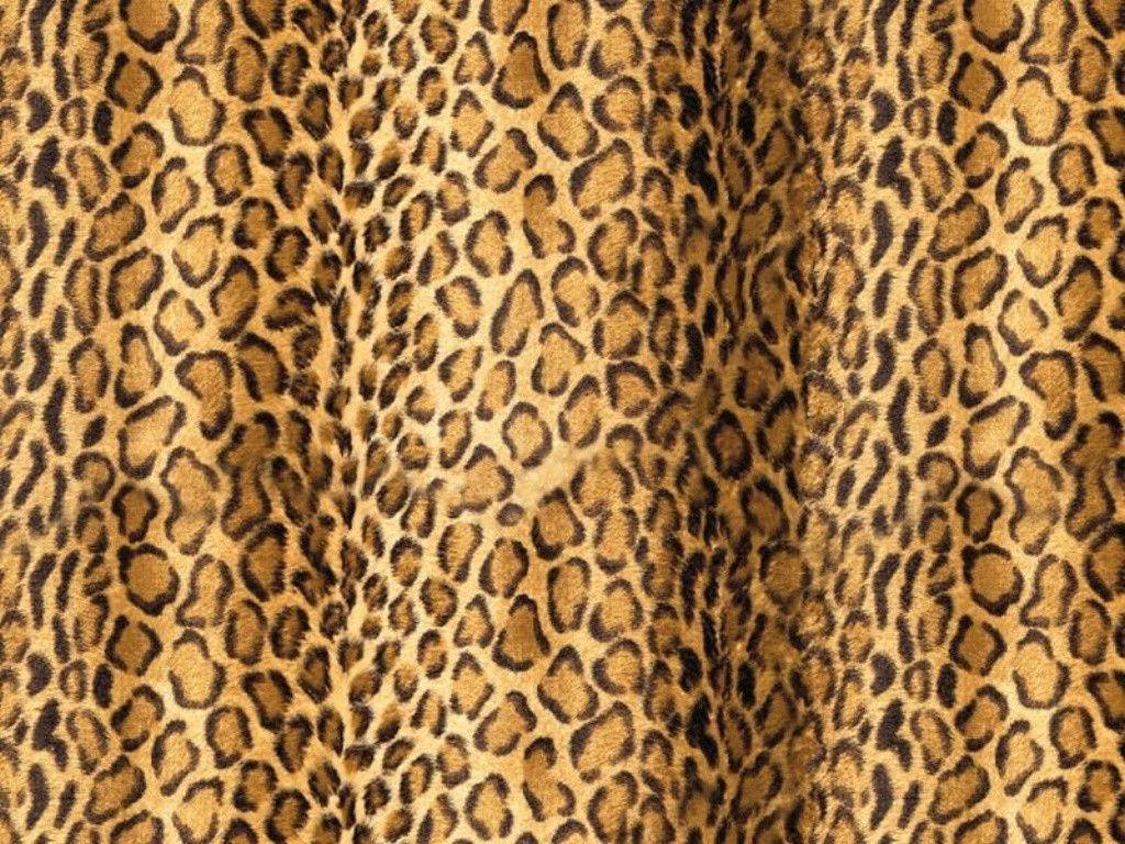 Animal Print Desktop Backgrounds Wallpaper Cave