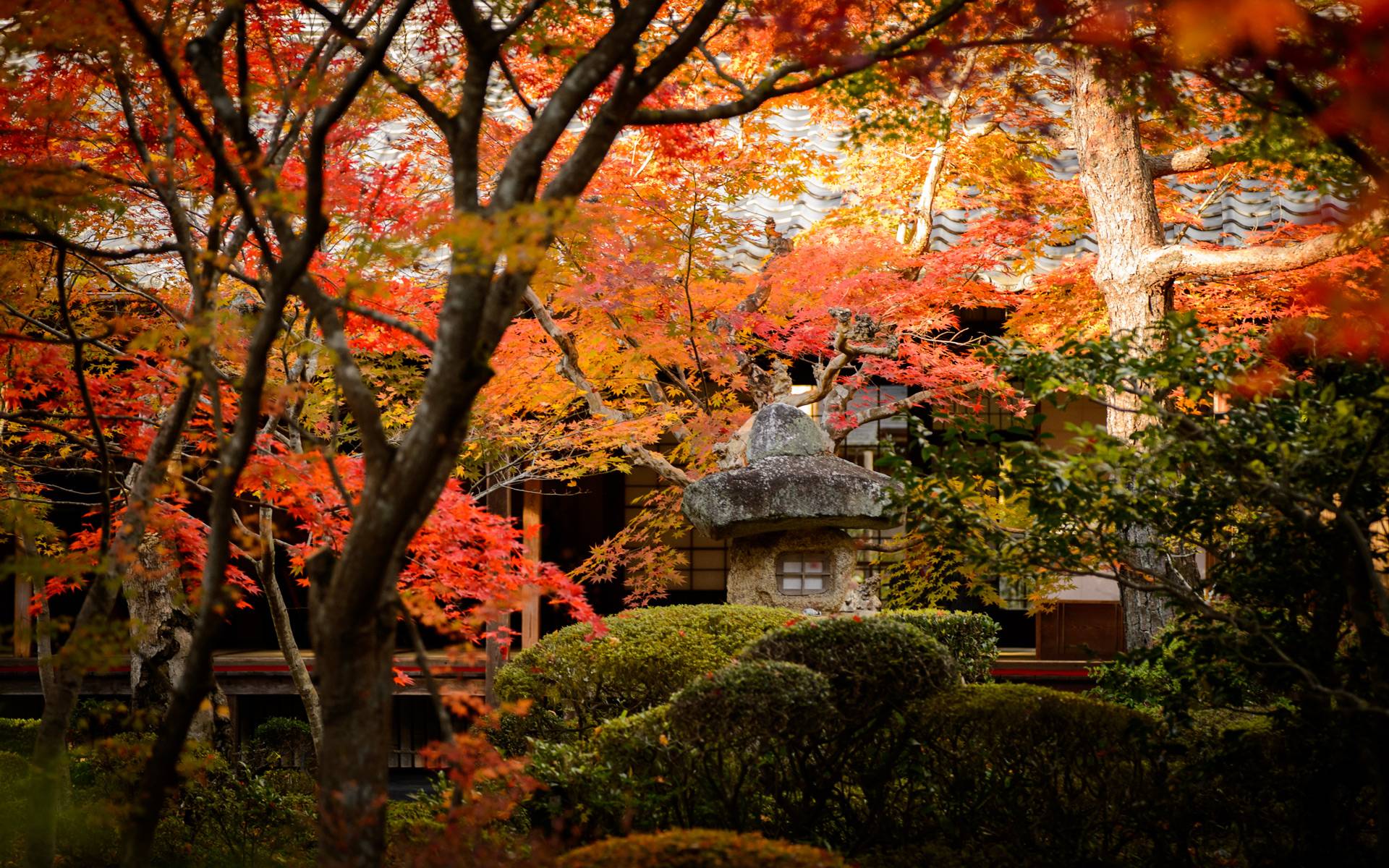 Kyoto Wallpapers Wallpaper Cave