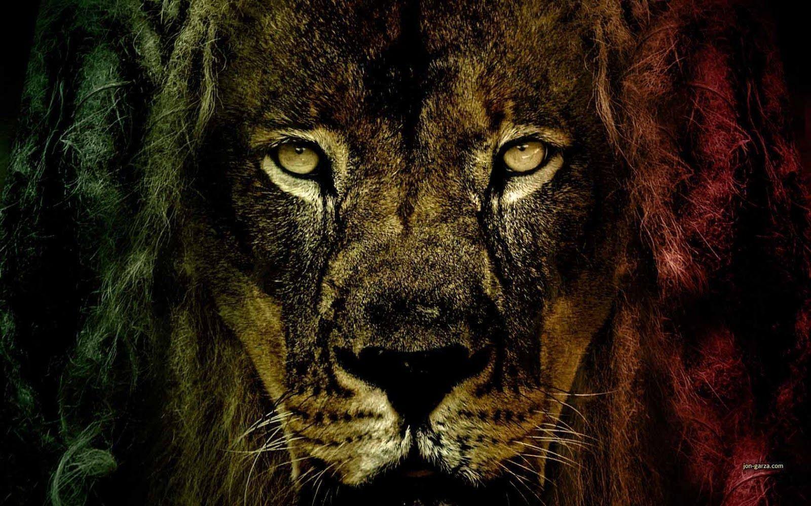 Rasta Lion Wallpapers HD Wallpaper Cave