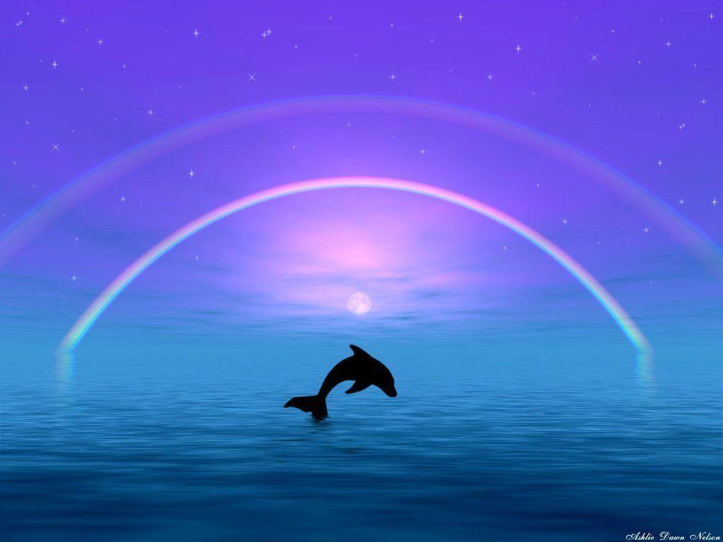 Cute Dolphin Wallpapers Wallpaper Cave