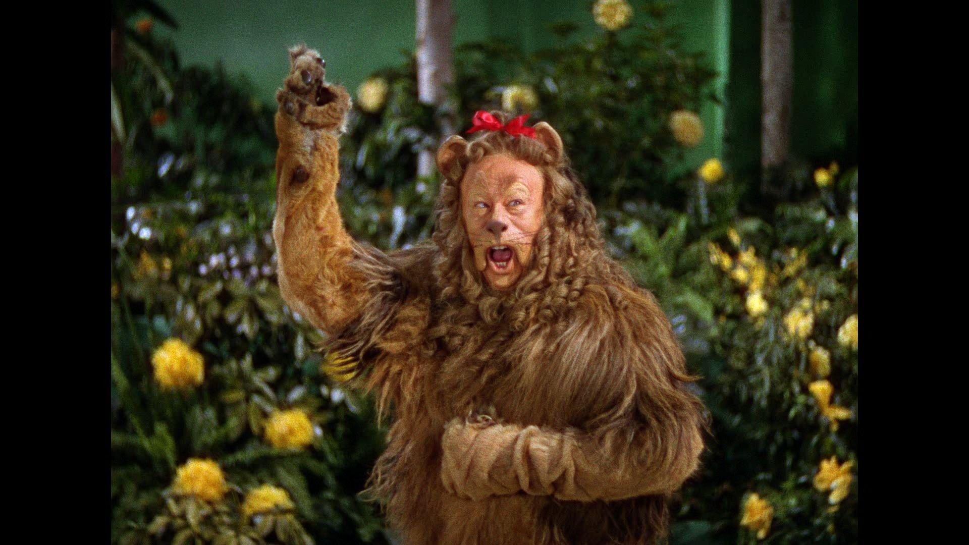 Wizard Of Oz Wallpapers Wallpaper Cave