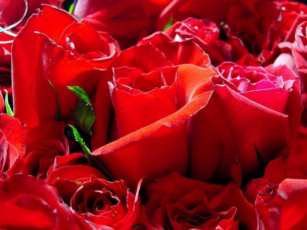 Pretty Red Backgrounds Wallpaper Cave