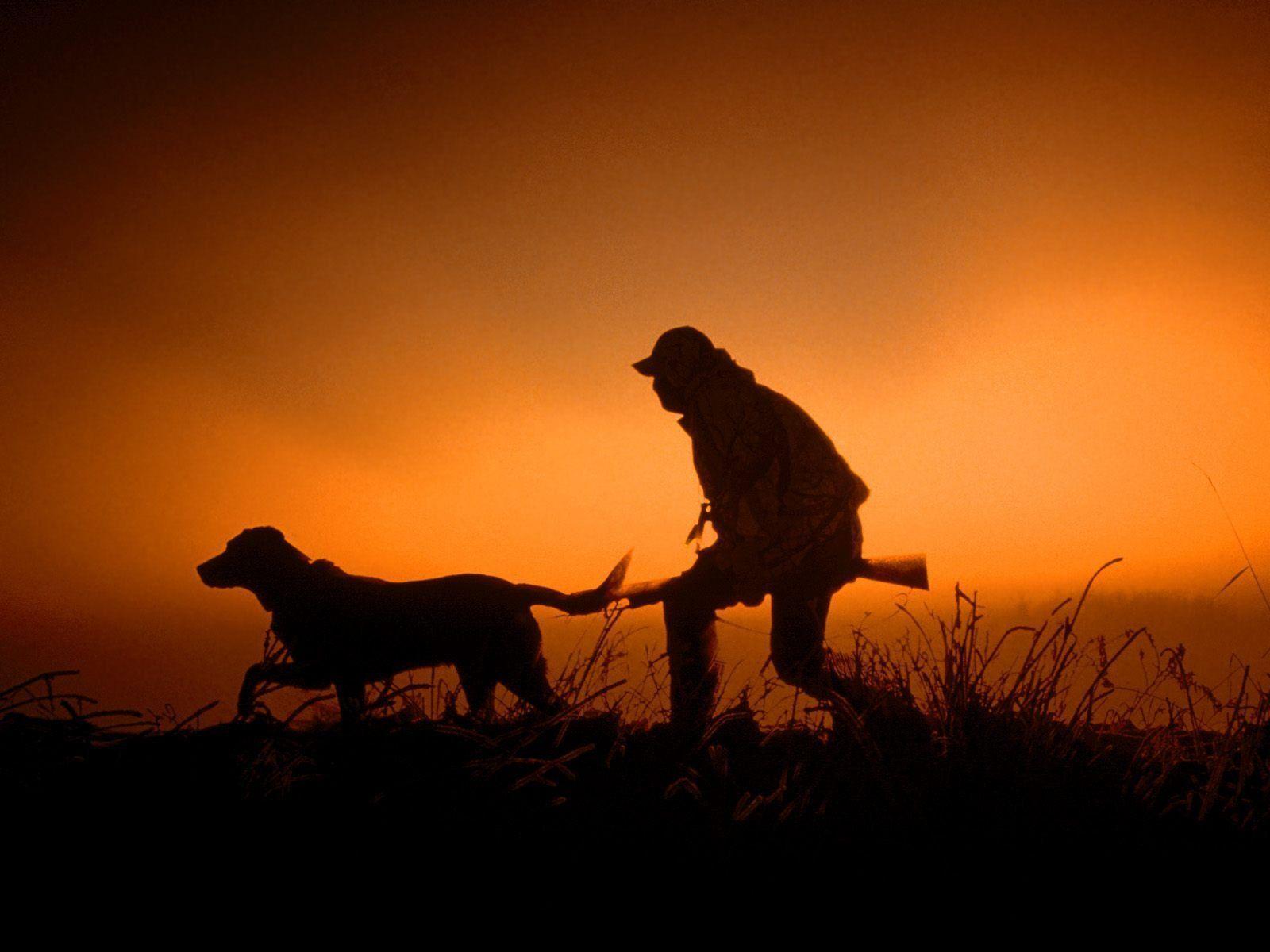 Hunting Dog Wallpapers Wallpaper Cave