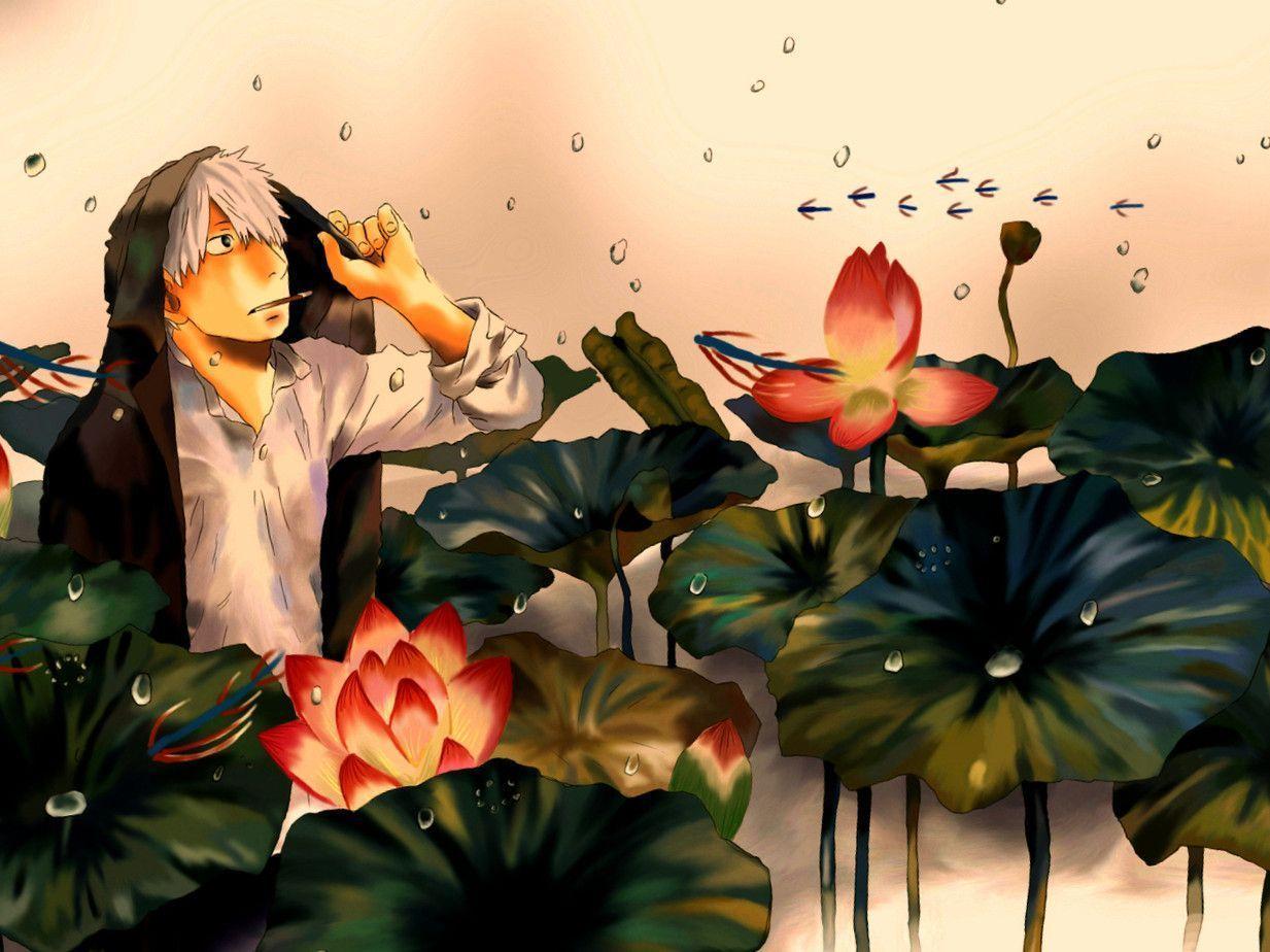 Mushishi Wallpapers Wallpaper Cave