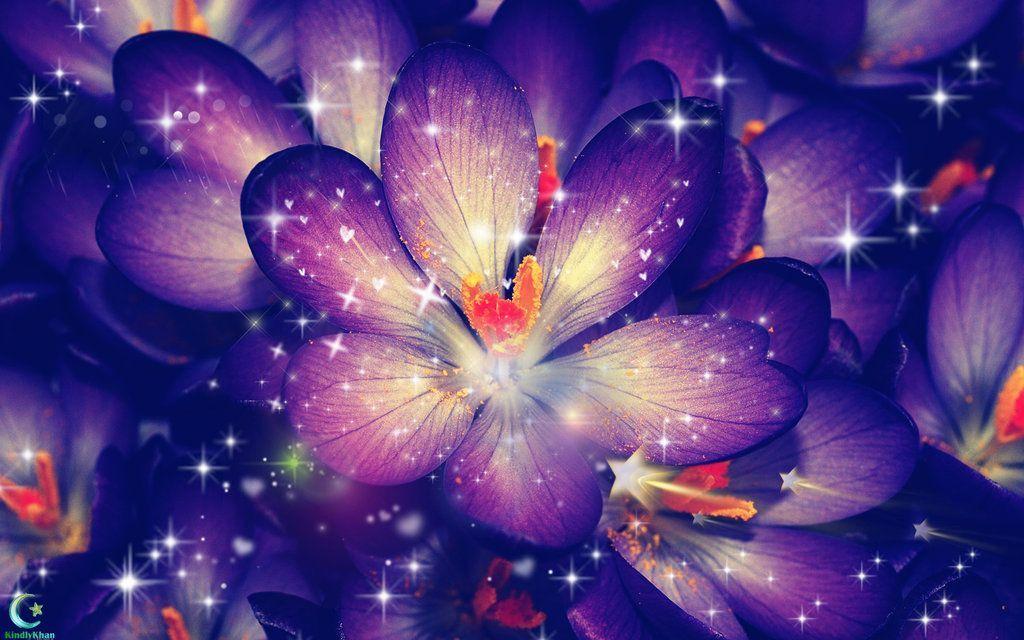 Nice Purple Backgrounds Wallpaper Cave