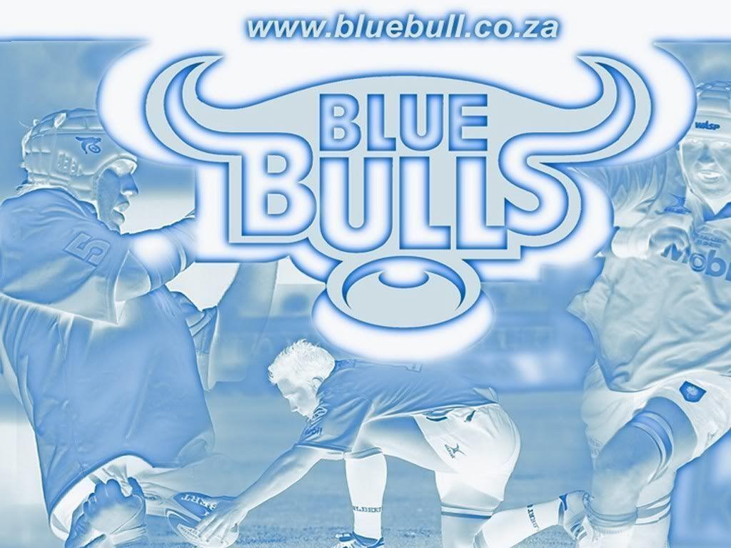 Blue Bulls Wallpapers Wallpaper Cave