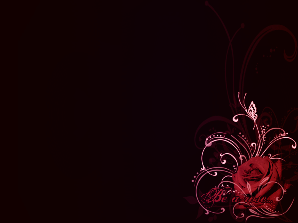 Red Rose With Black Backgrounds Wallpaper Cave