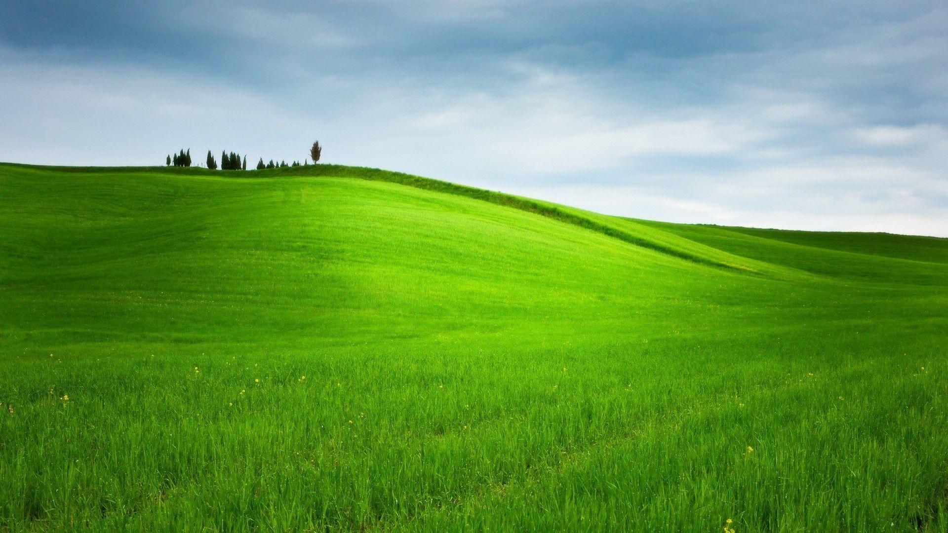 Green Hills Wallpapers Wallpaper Cave