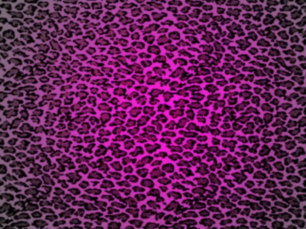 Pictures Of Cheetah Print Wallpapers Wallpaper Cave