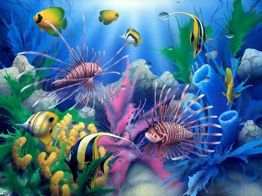 Ocean Life Wallpapers Wallpaper Cave