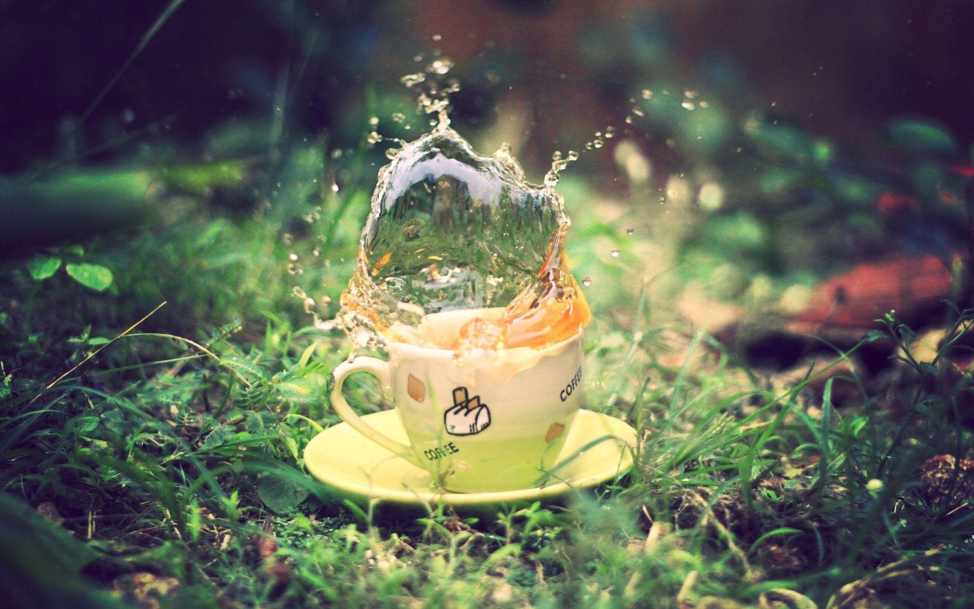 Green Tea Wallpapers Wallpaper Cave