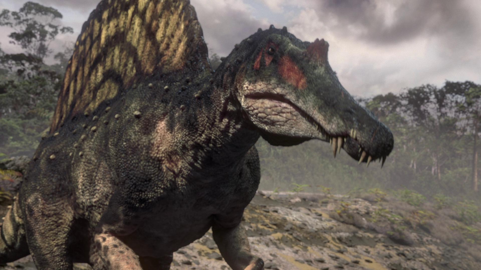 Spinosaurus Wallpapers Wallpaper Cave