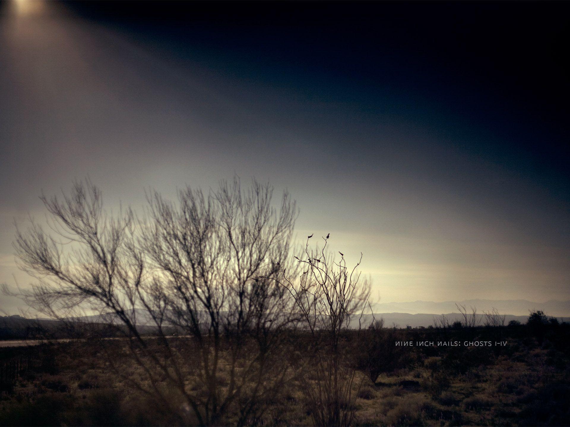 Nin Wallpapers Wallpaper Cave