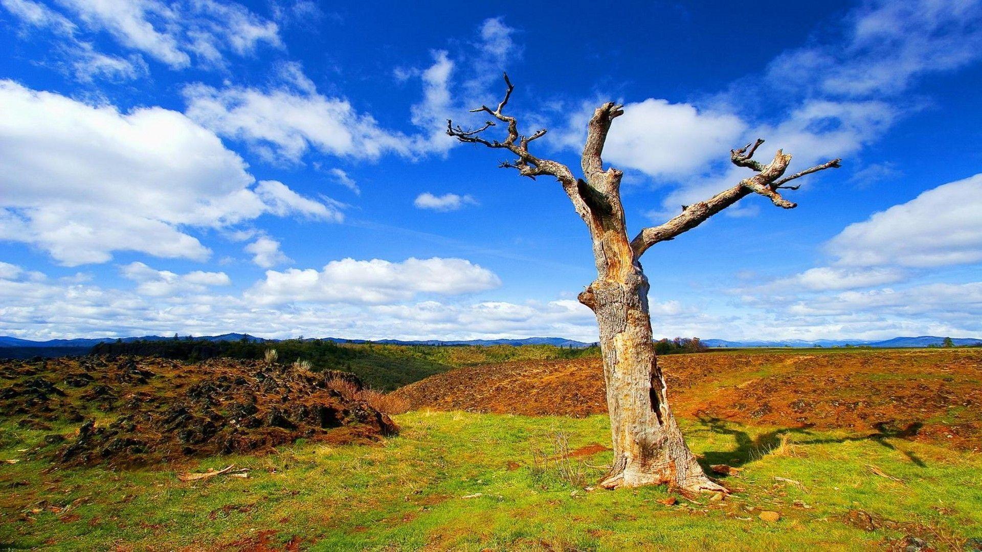 50 beautiful free desktop wallpapers for download