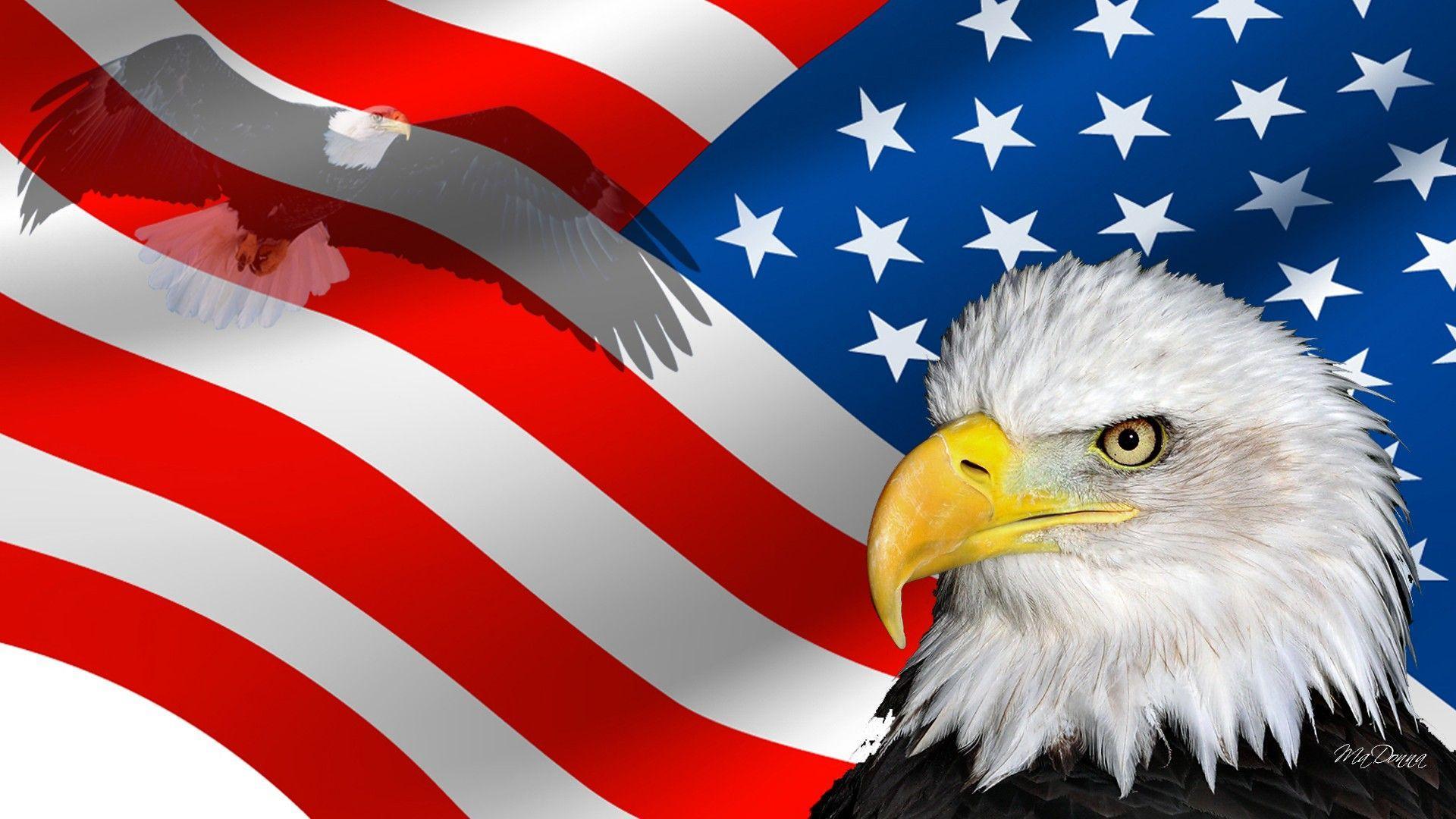 USA Wallpapers Wallpaper Cave