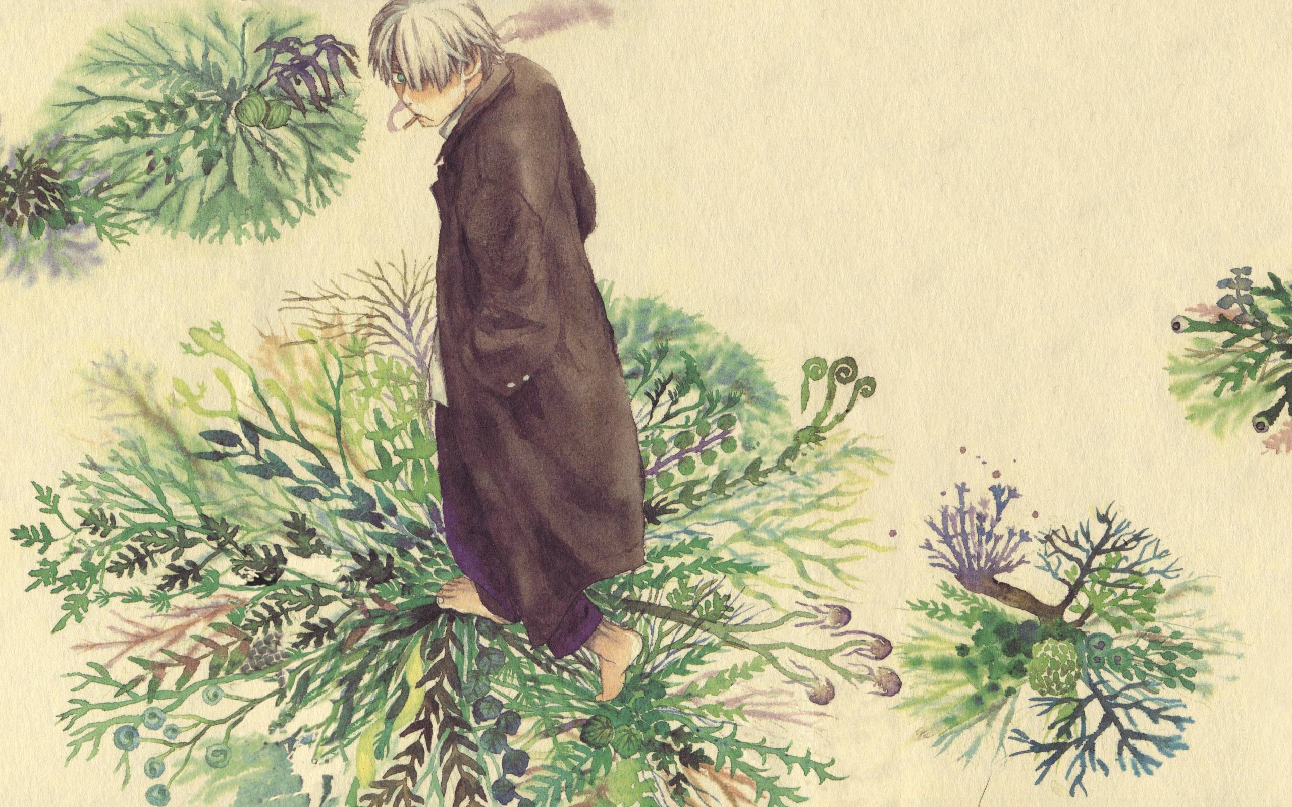 Mushishi Wallpapers Wallpaper Cave